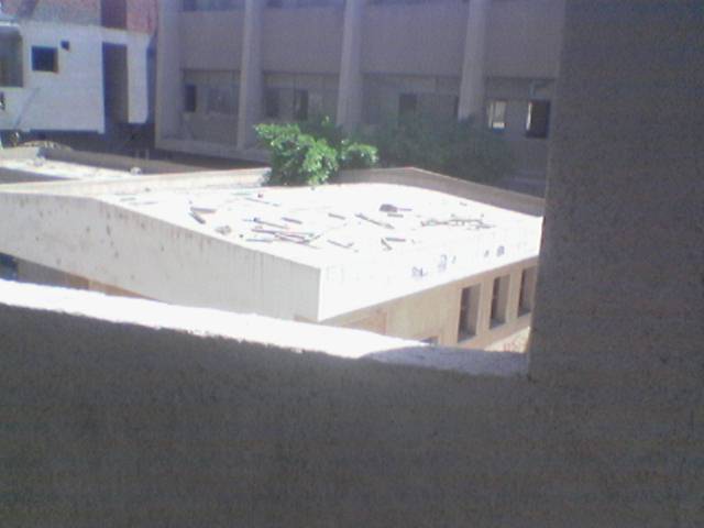 [Image(193).jpg]