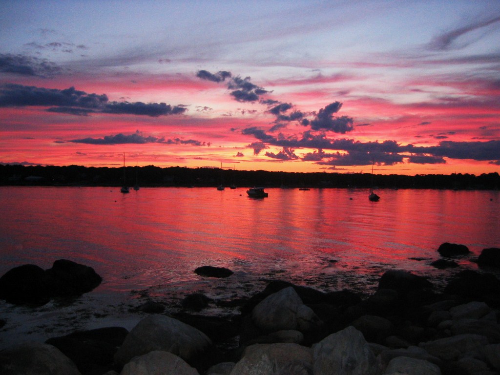 [IMG_0074.JPG]