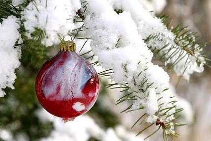 christmas in the forest christmas in the forest