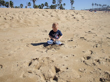 A Day at the Beach