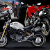 Ducati Multistrada 1100 Motorcycle