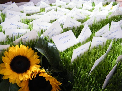 Sunflowers moss and wheatgrass were used for the welcome table