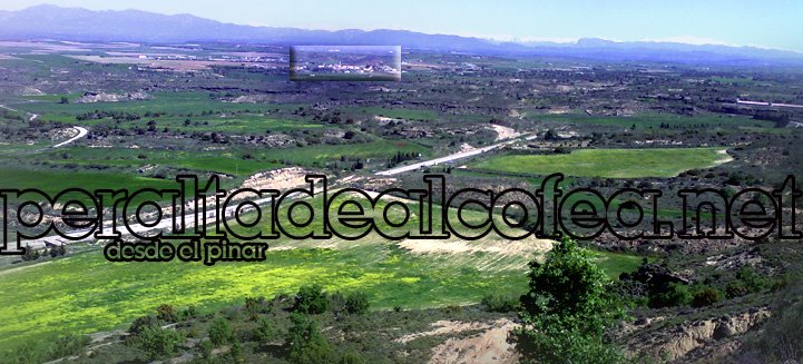 Peralta de Alcofea