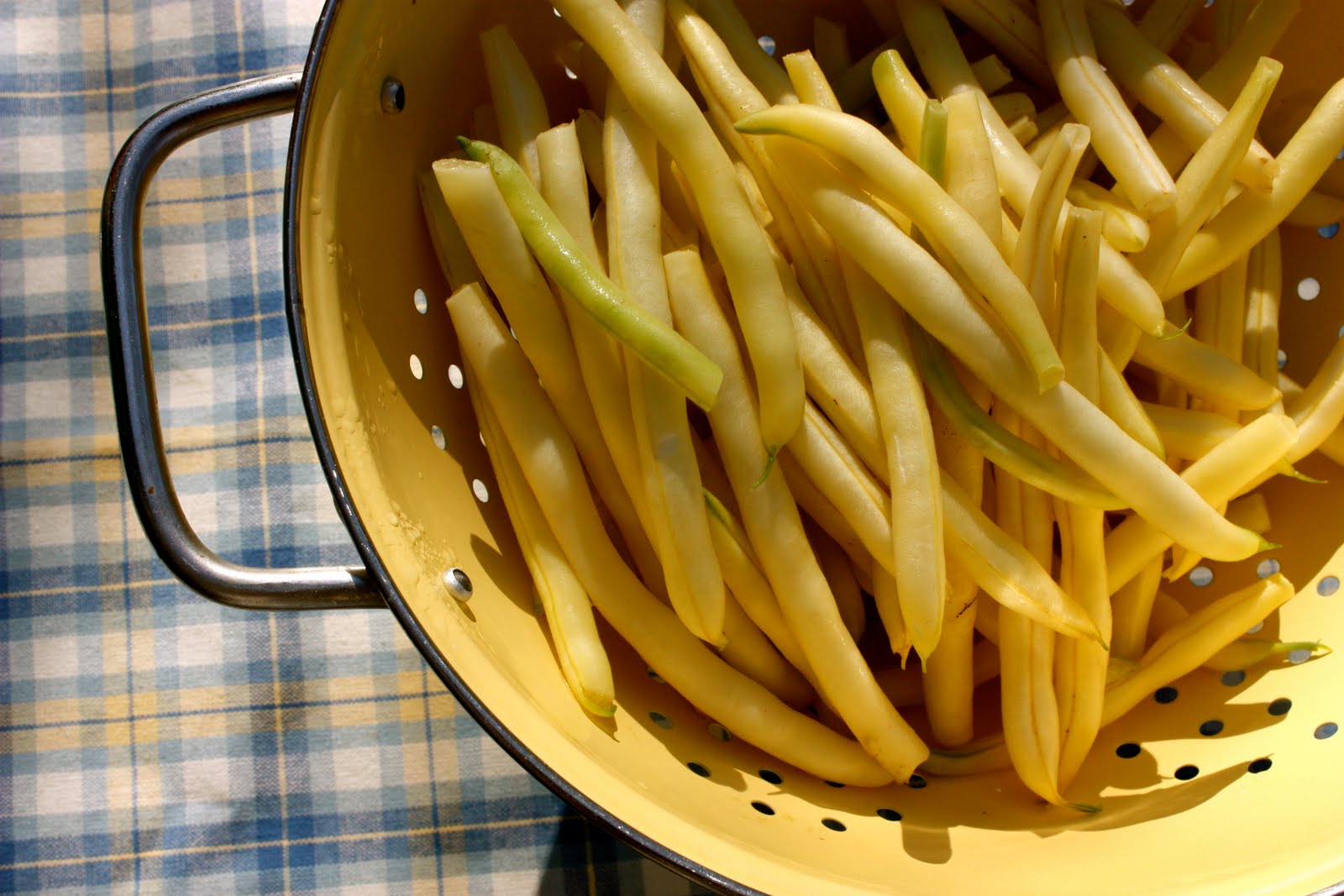 The Gypsy Chef Roasted Wax Beans with Pancetta