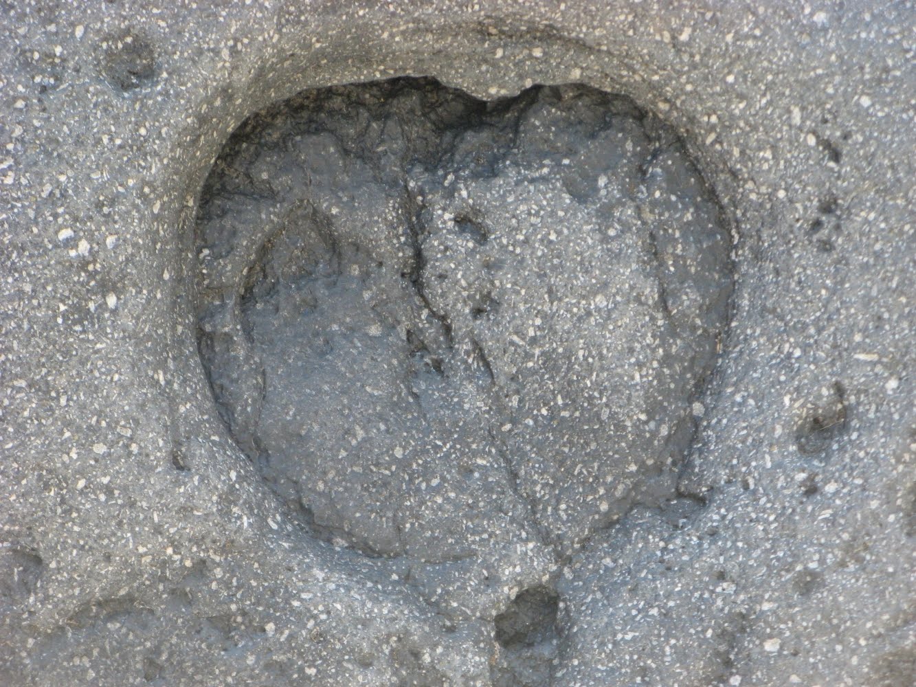 [IMG_6598.JPG]