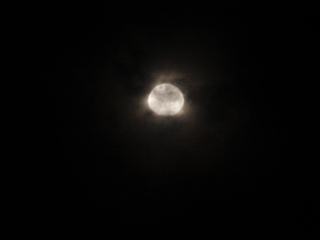[DSC01865.JPG]