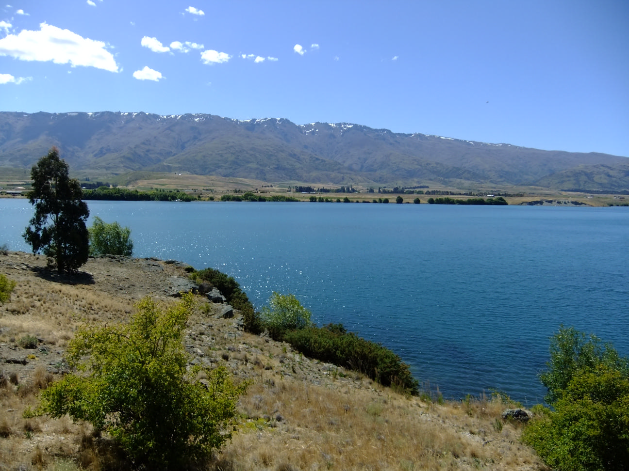 [DSCF1485.JPG]