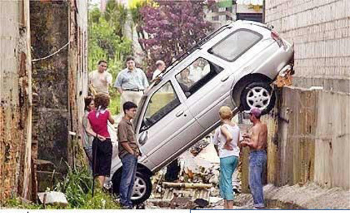 new funny photo