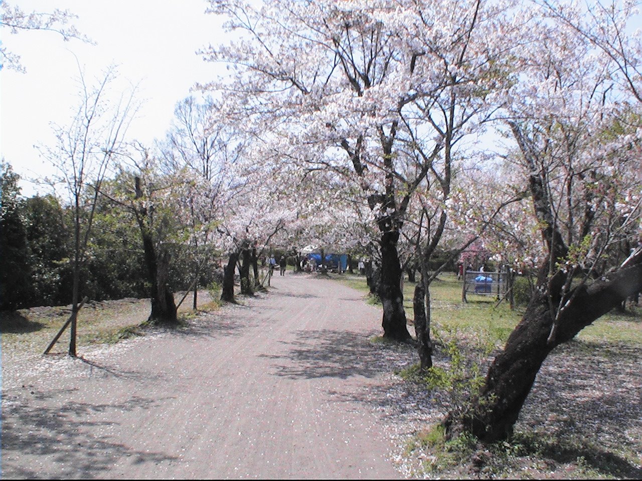 [PIC_0269.JPG]