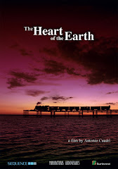 1598-Dünyanın Merkezi - The Heart Of The Earth 2007 Türkçe Dublaj DVDRip
