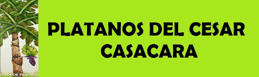 Platanos del Cesar - Casacara