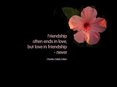 quotes on life and friendship. quotes on life and friendship.
