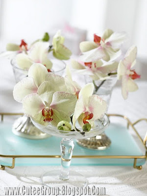 Romantic Tables By: www.CuteeGroup.TK