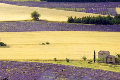 Provence