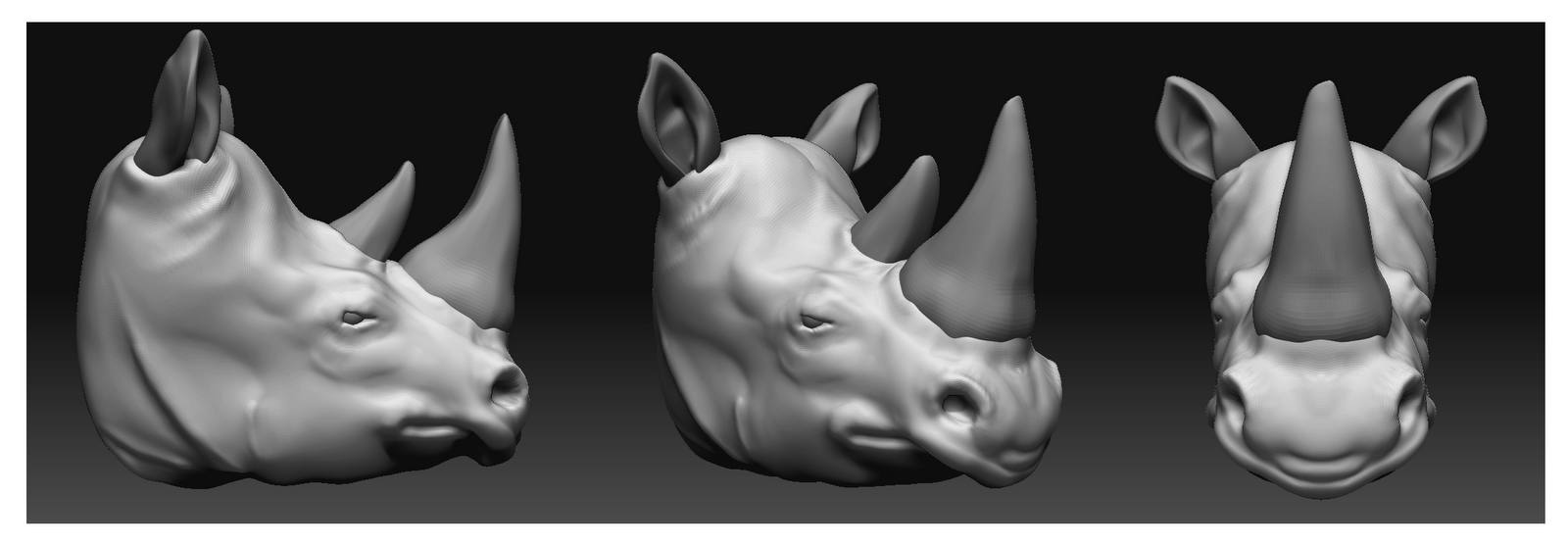 RhinoHead.png