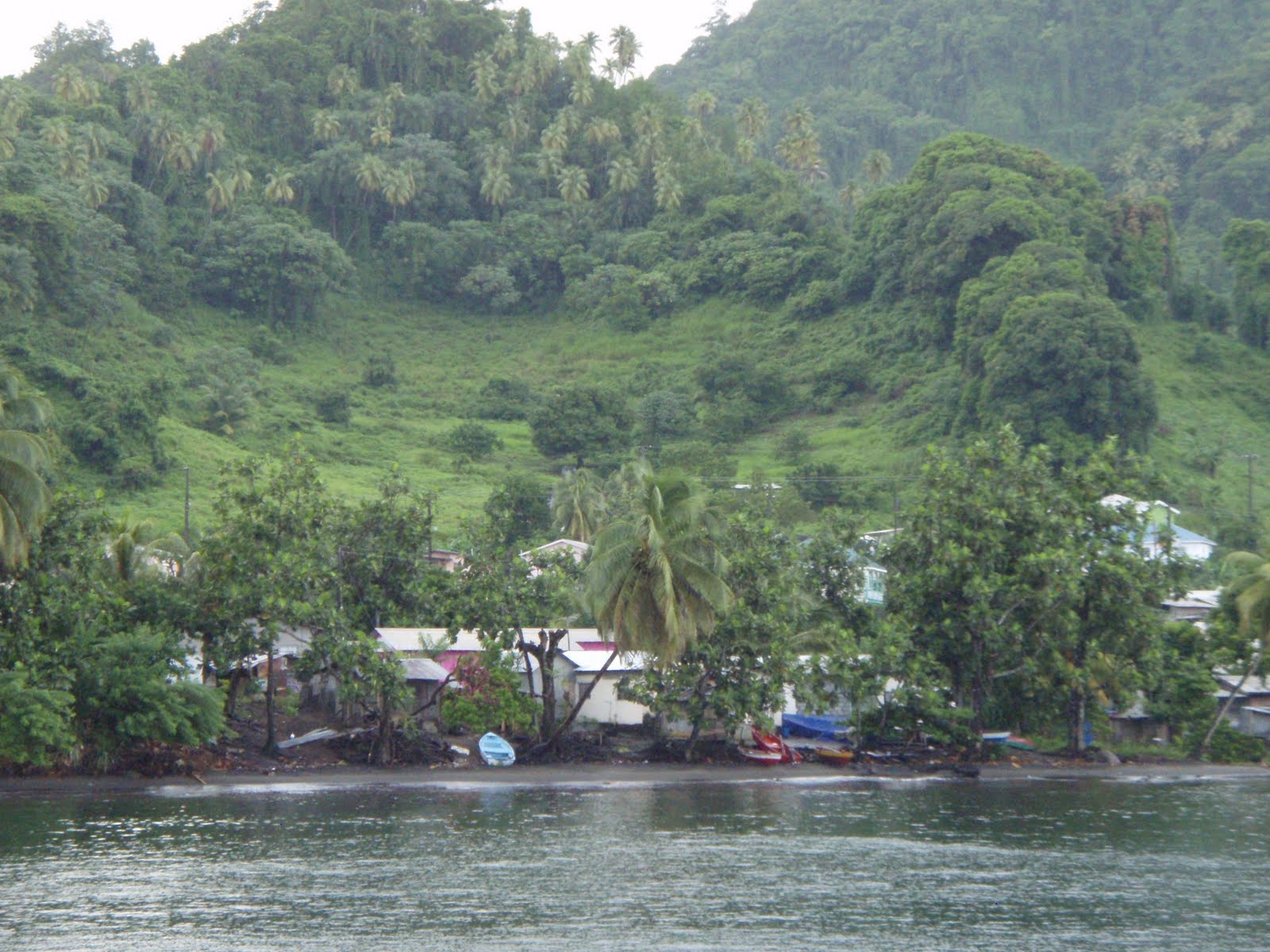 Le Chat Beaute Chateau Belair, St Vincent