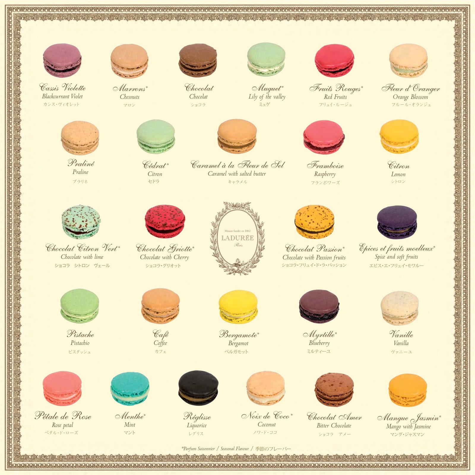 Macaroon Illustration