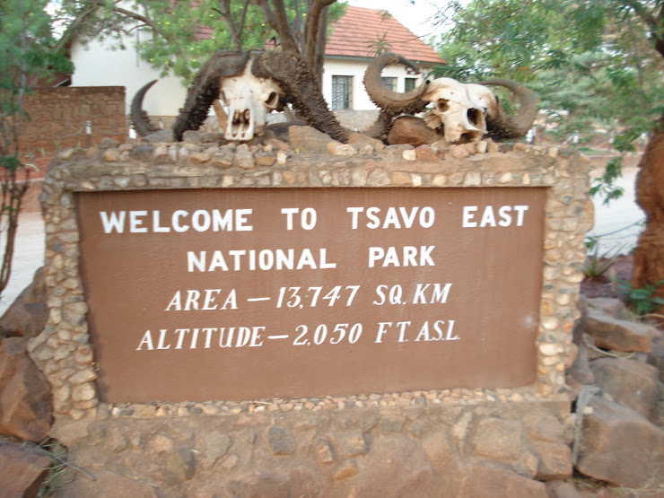 TSAVO EAST - NATIONAL PARC  - KENYA