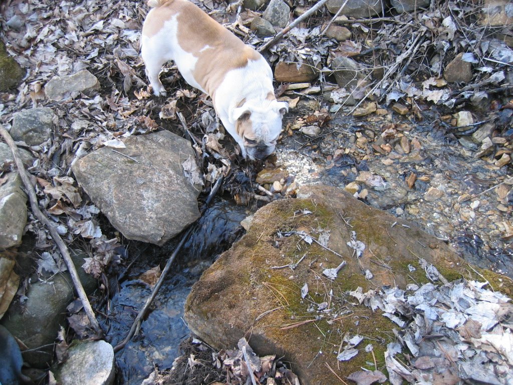 [IMG_9650.JPG]