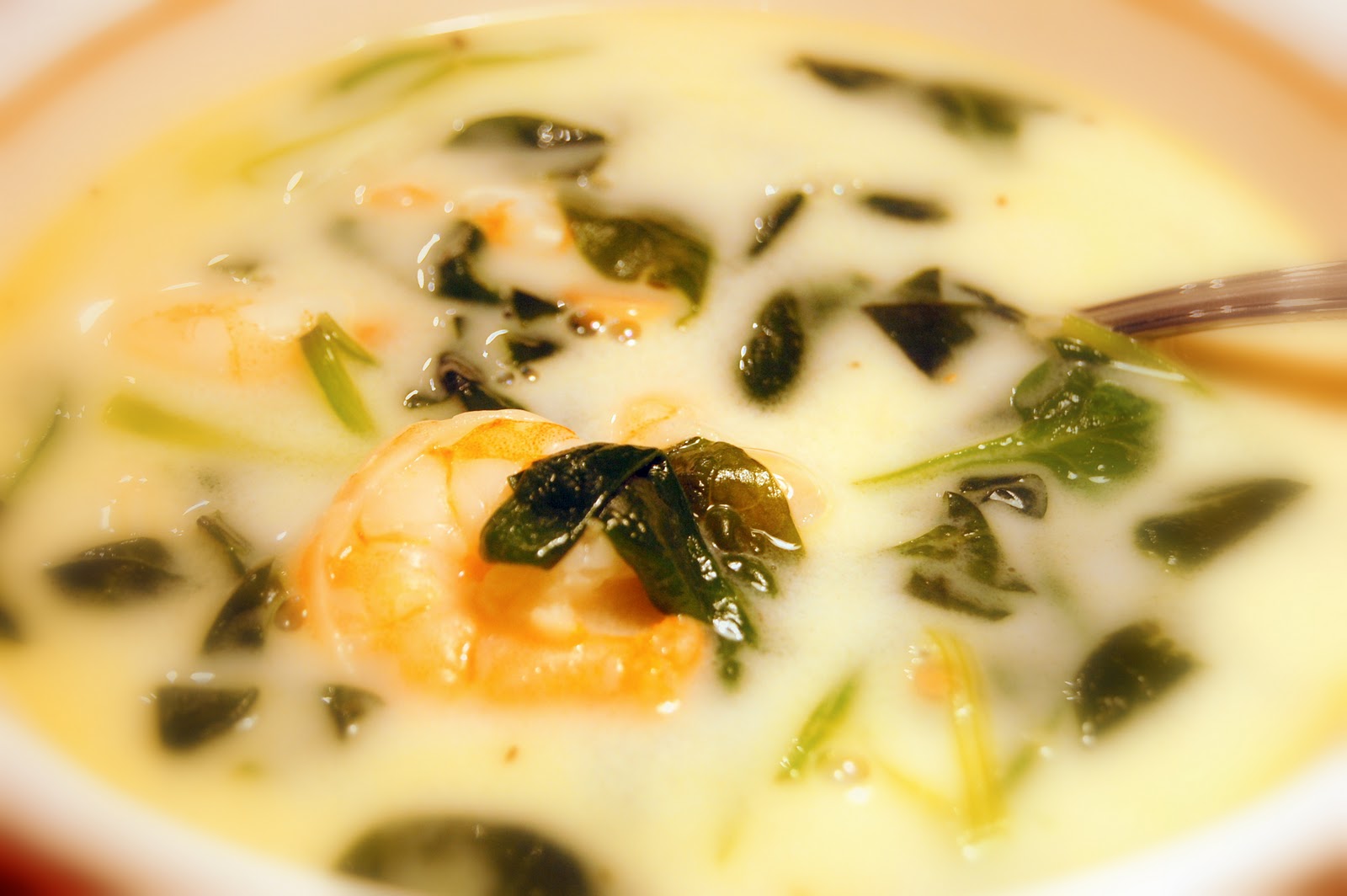 Thai Coconut Soup