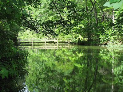 Nature trail photo