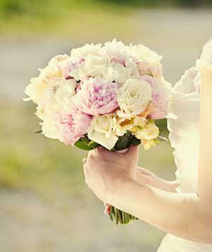 [amelia_087-CROPPED.jpg]