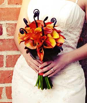 [amelia_089-CROPPED.jpg]