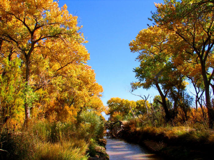 [fall_colors.jpg]