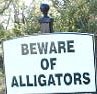 [alligators.jpg]