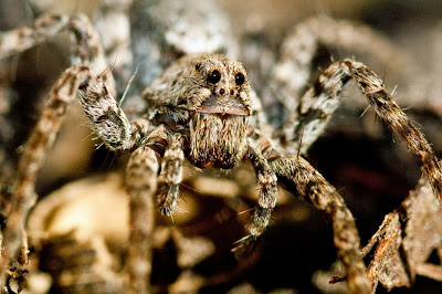 Essayate 2005 phpbb group 03 image