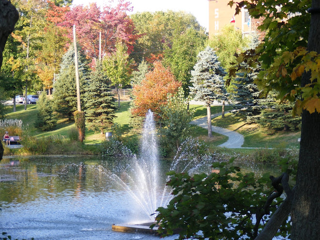 Museo de Fotos de Sherbrooke