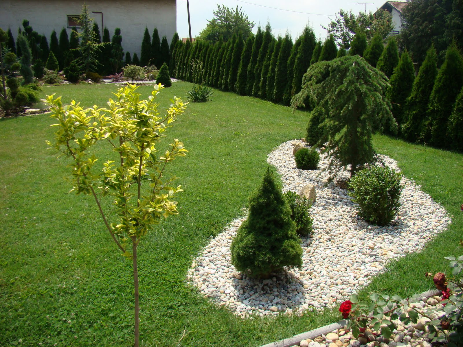 DSC02280.JPG