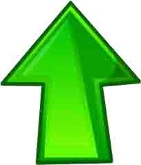 ... continua