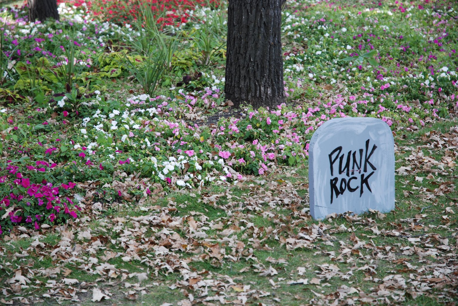 [DSC_1026.JPG]