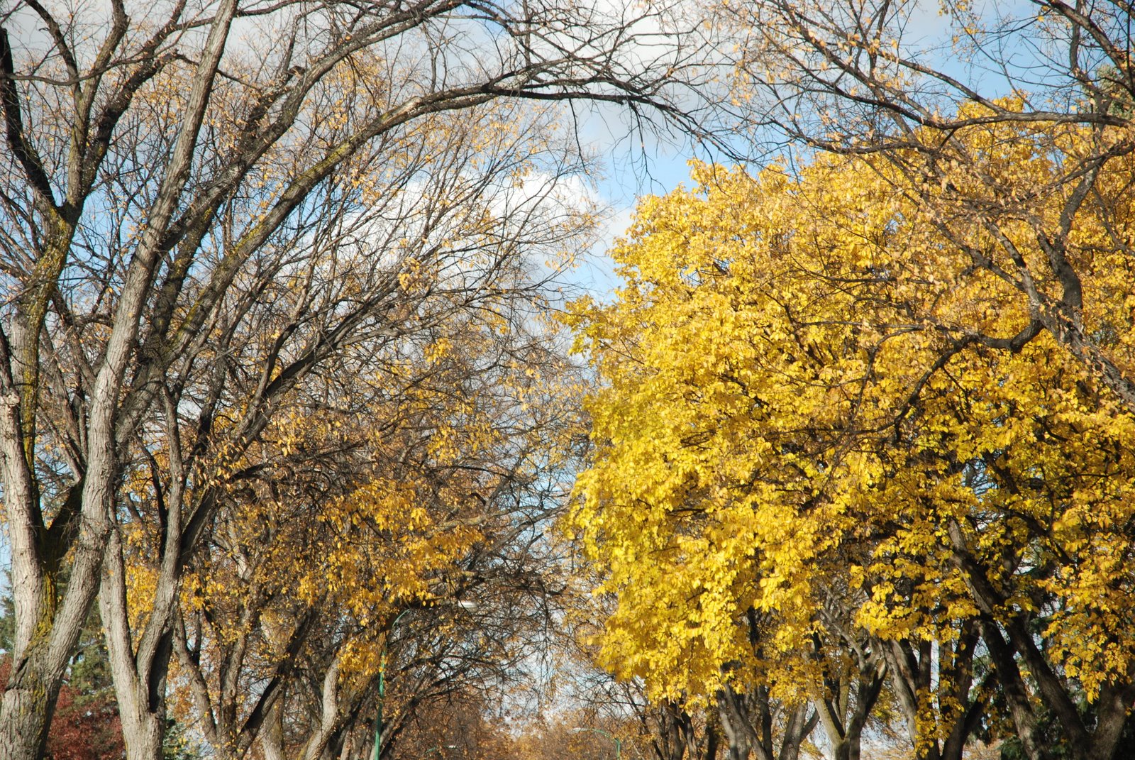 [DSC_1044.JPG]