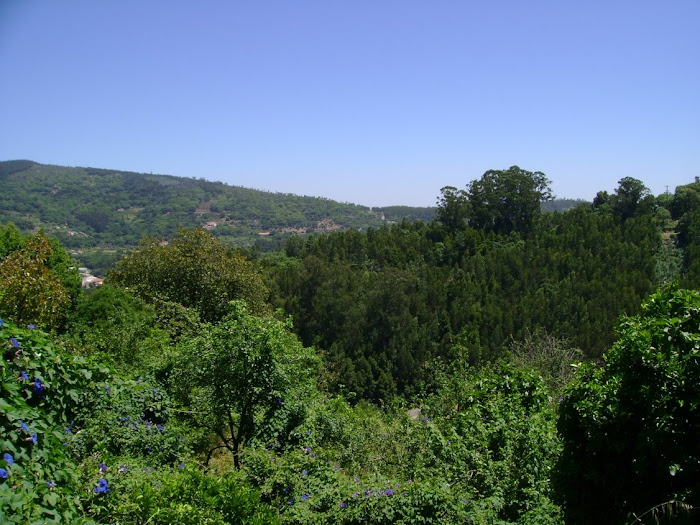 PAISAGENS VERDES DE MONCHIQUE