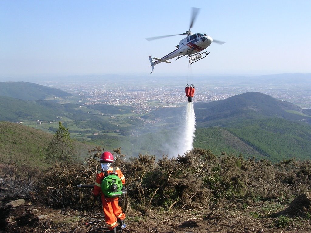 [DSCN1709_lr.JPG]