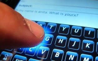 Blackberry Storm 3