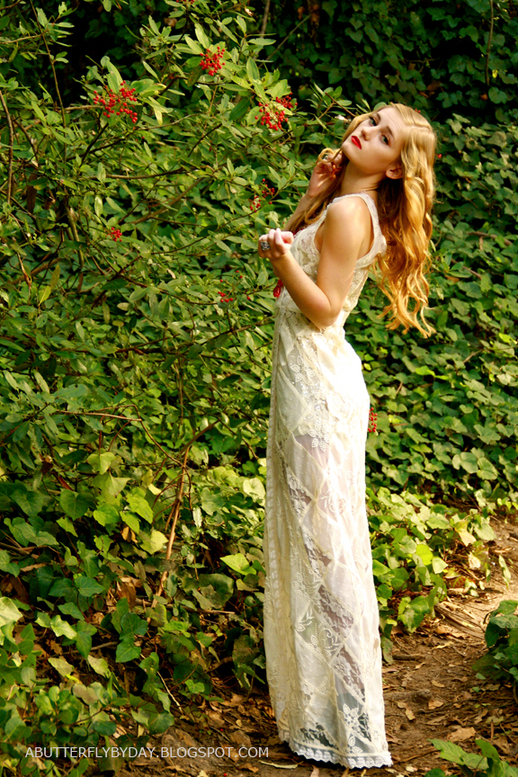 Winters Tale | a butterfly by