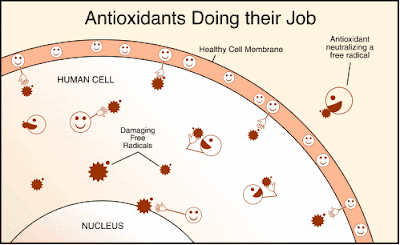 5 New Antioxidants that Makes
