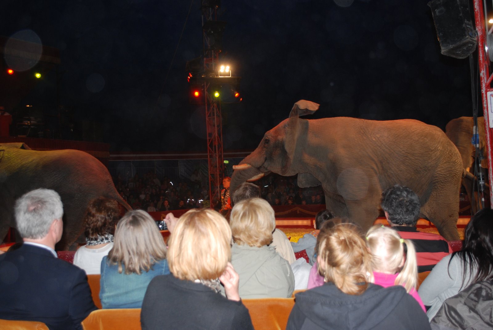 [Cirkus+152.jpg]
