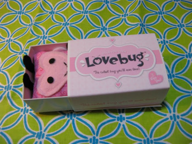 Lovebug in Box