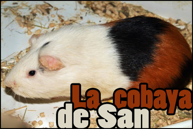 La Cobaya de San