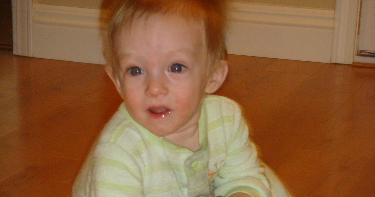 Good Knight Times Who's Afraid of the Vacuum Cleaner?