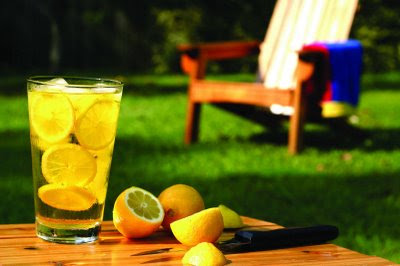 LAWN GARDENING GARDEN TIPS SUMMER