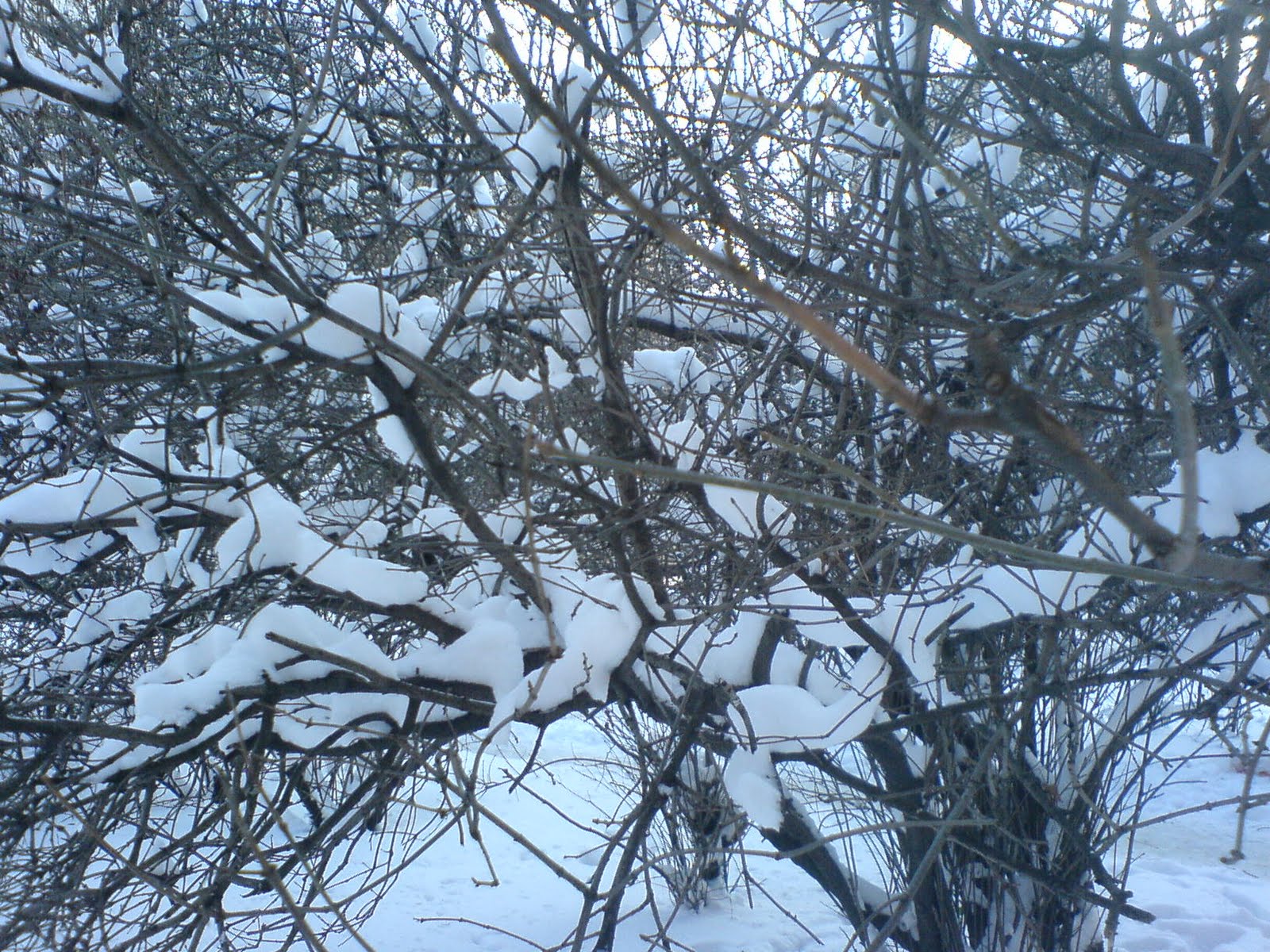 [DSC03192.JPG]