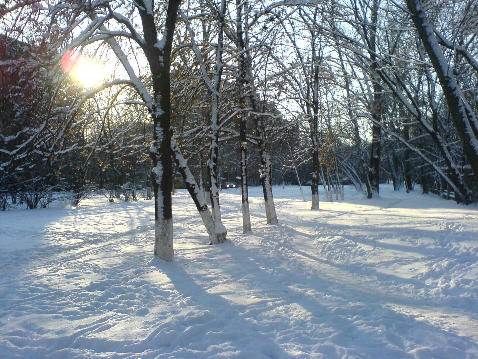 [DSC03193.JPG]