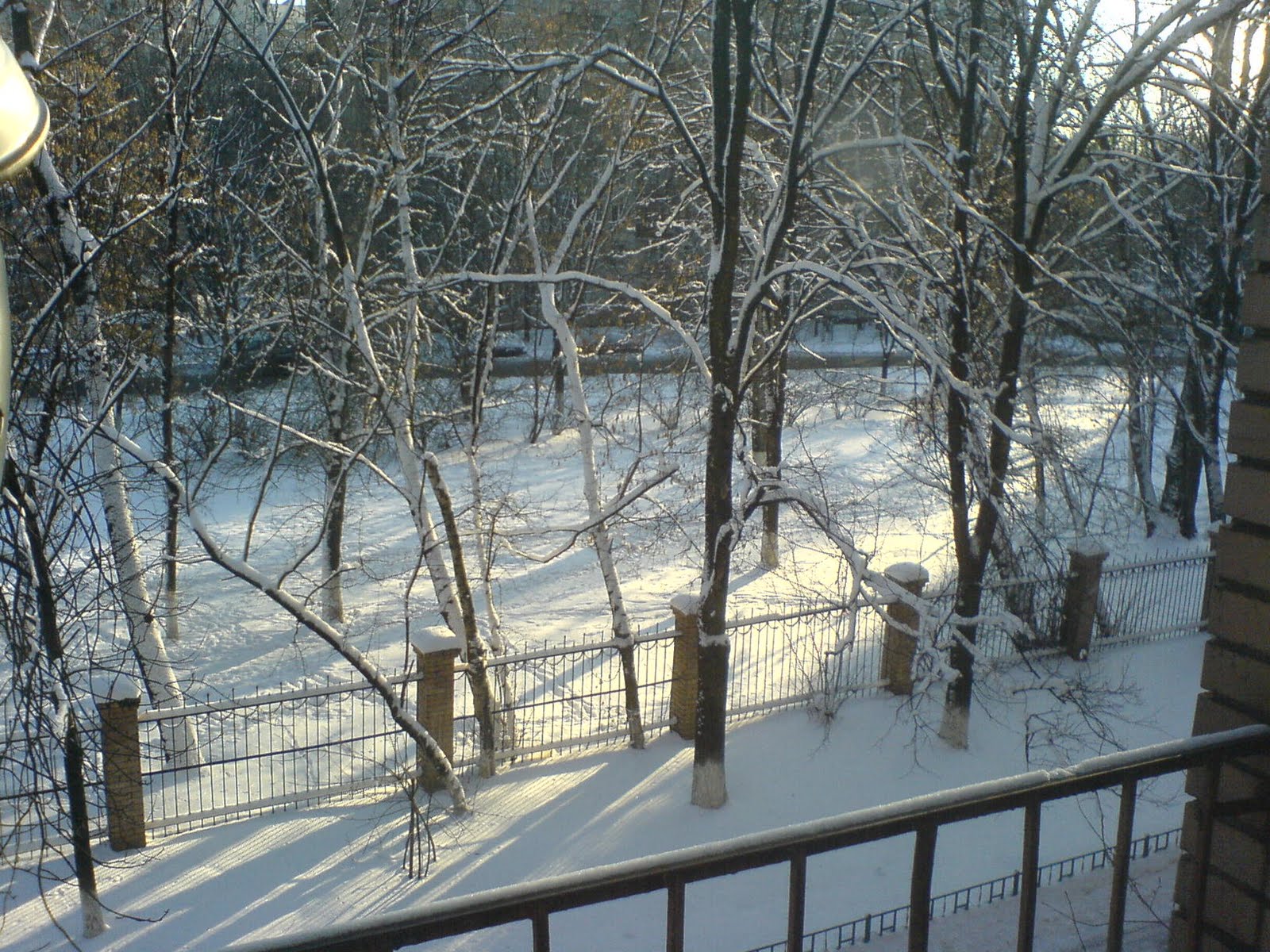 [DSC03195.JPG]