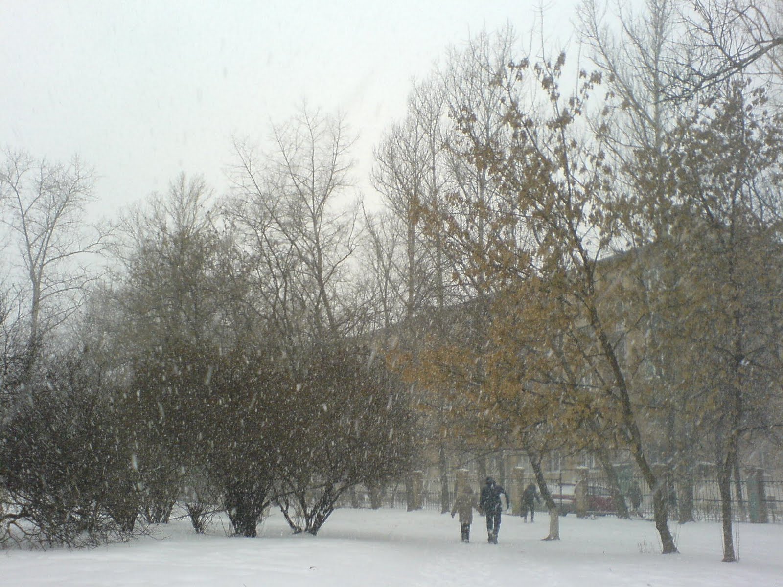 [DSC03172.JPG]