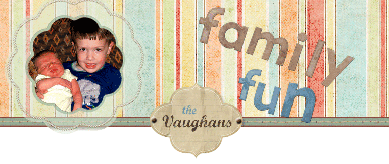Vaughan Family Fun